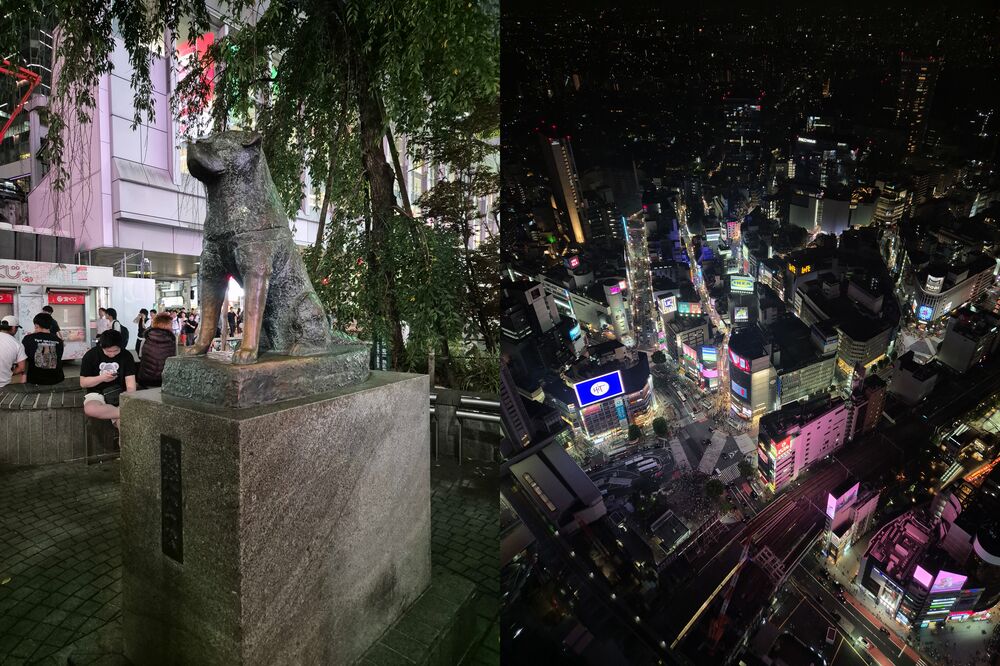 Hachiko e Shibuya Sky